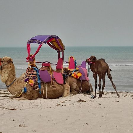 Dar El Kahina Djerba Otel Mezraia Dış mekan fotoğraf