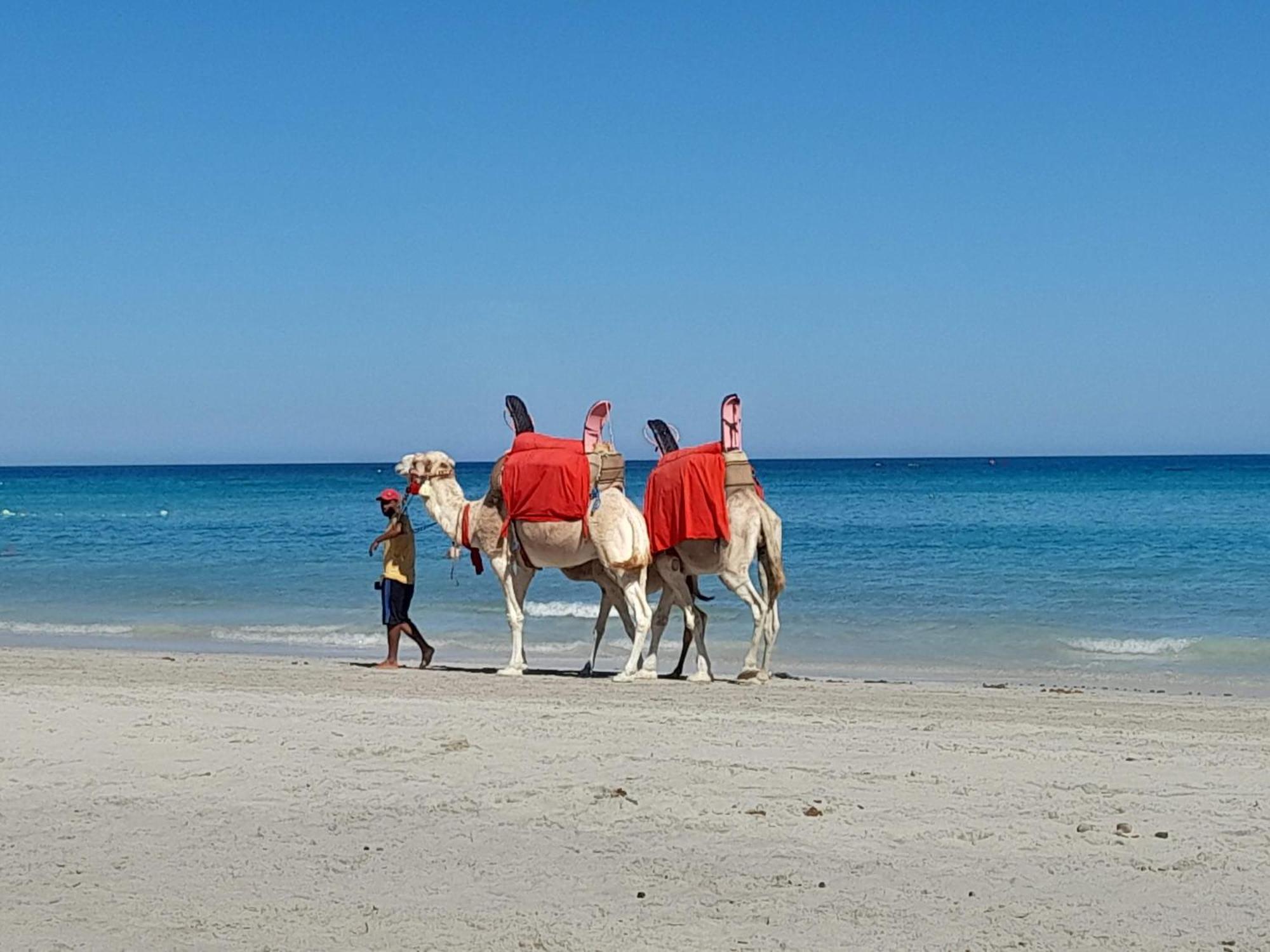 Dar El Kahina Djerba Otel Mezraia Dış mekan fotoğraf